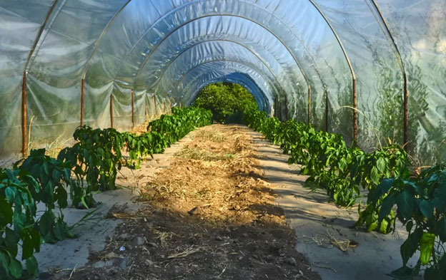 Azienda Agricola Vanessa Milani